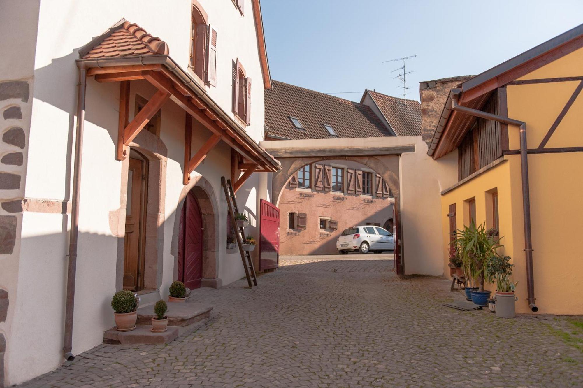 La Maison D'Emilie Pfaffenheim Exterior photo